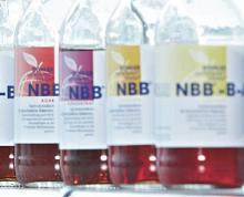 NBB-✫B(yng)NBB-Broth