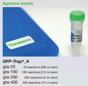 GFP-Trap®, coupled to magnetic beads