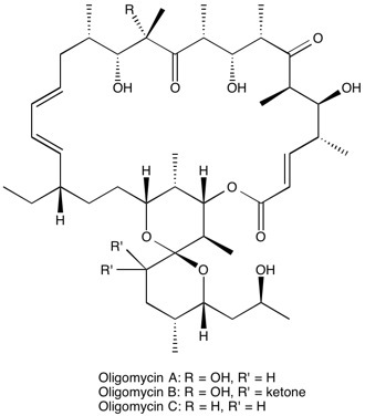 Oligomycin complexϺ\(chng)