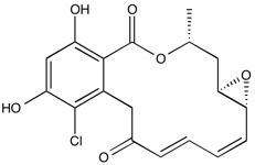 RadiciolϺ\(yu)ݹ