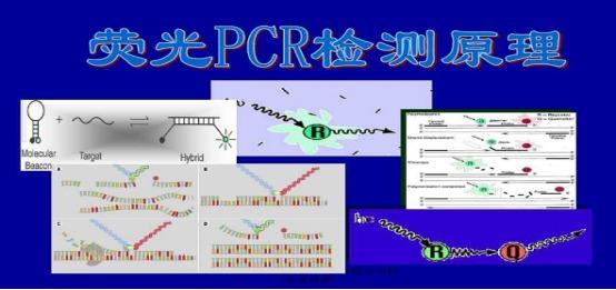 ䷿Сx(chng)PCRzy(c)ԇжX(qin)