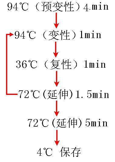 24_没24׃NPCRzyԇЏS	