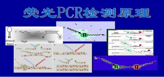 ķɭֲPCRM(jn)ԇ	