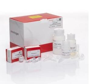 PureLink™ Viral RNA/DNA Mini Kit