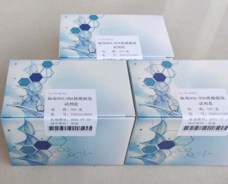 Amyloid-beta (1-40) CSF ELISA