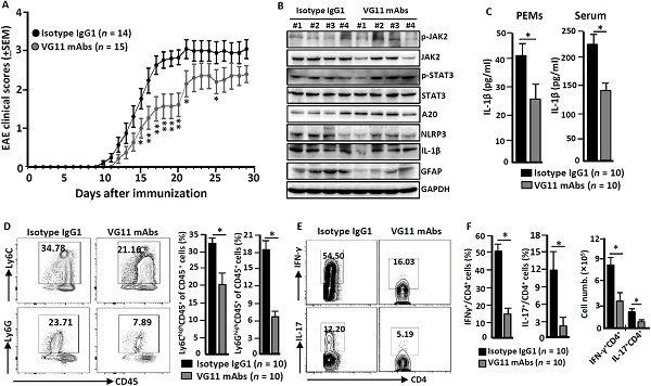 [īI(xin)x]VSIG4NLRP3P(gun)װYίc(din)