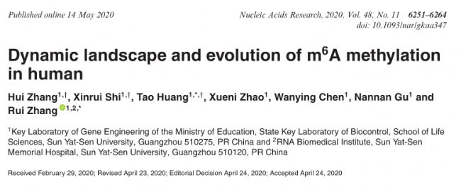 Dynamic landscape and evolution of m6A methylation in human