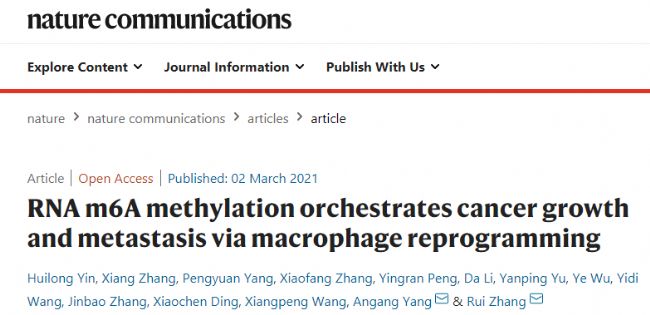 RNA m6A methylation orchestrates cancer growth and metastasis via macrophage reprogramming