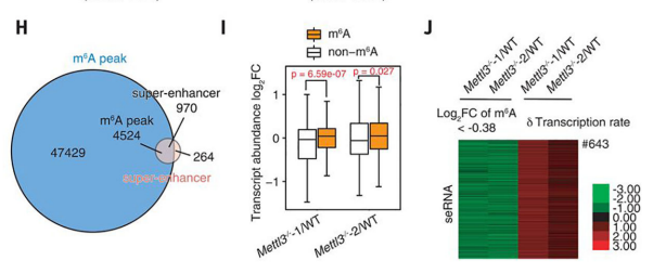 3carRNA m6A׻{(dio)MȾɫ|_cD