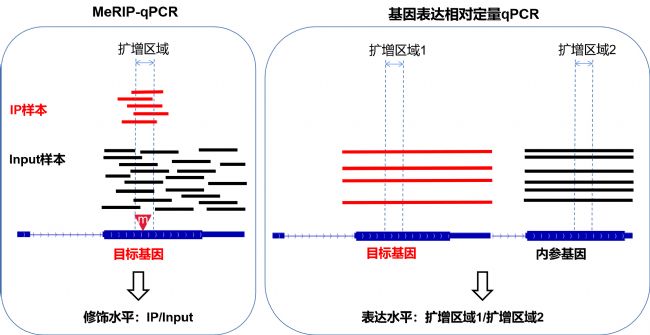 qPCR(du)ʾD