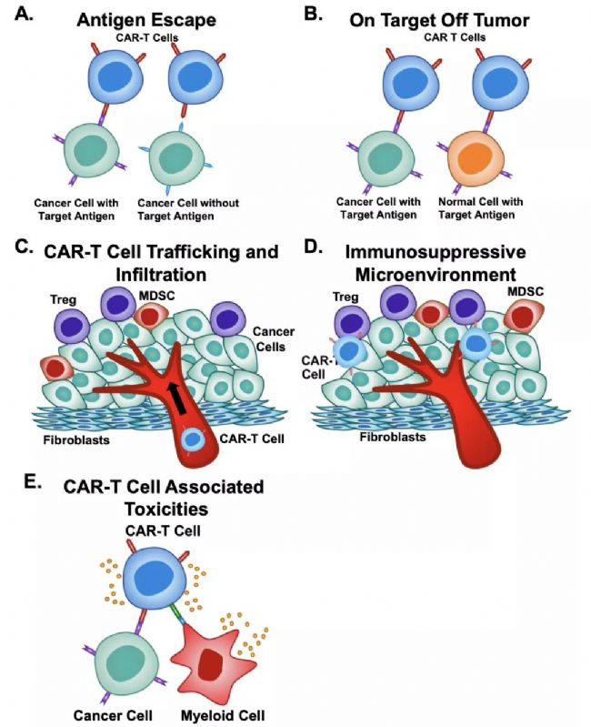 CAR-T(x)