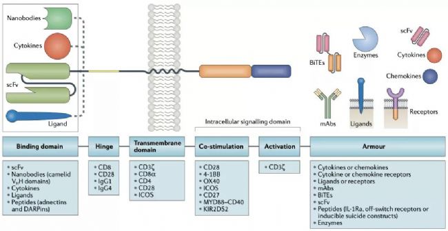 CAR-T(x)