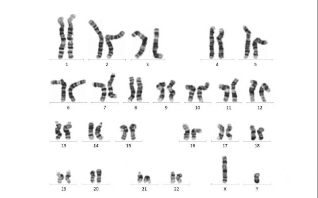 iPSC-EGFP-KI(x)ģ