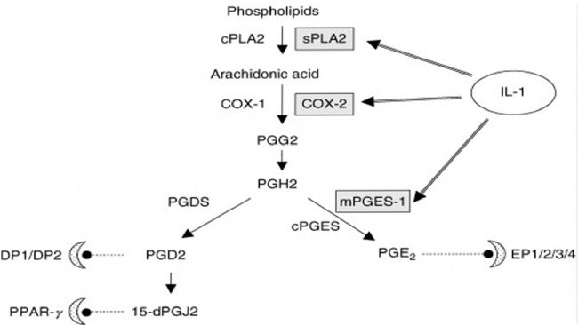 ׼(x)-1IL-1Įa(chn){(dio)(ji)