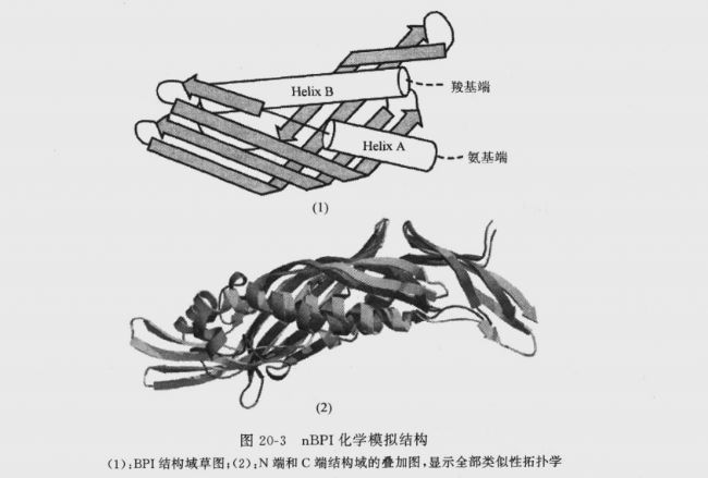 D20-3nBPIW(xu)ģMY(ji)(gu)