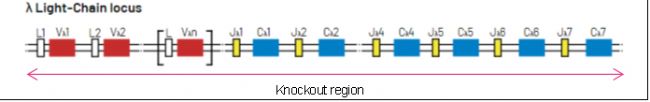 B6-Igl KOСB(x)l(f)Ϳwоģ