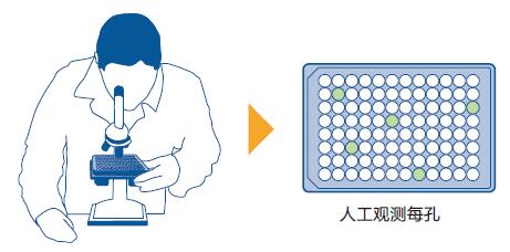 細(xì)胞生長分析